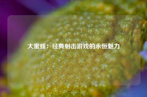 大蜜蜂:经典射击游戏的永恒魅力