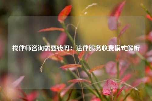 找律师咨询需要钱吗：法律服务收费模式解析