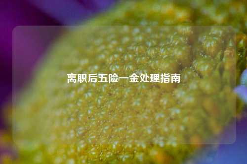 离职后五险一金处理指南