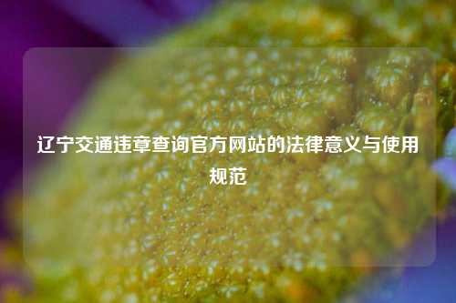 辽宁交通违章查询官方网站的法律意义与使用规范