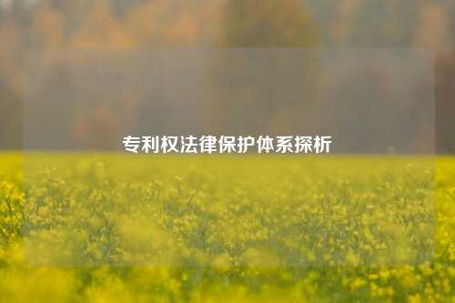 专利权法律保护体系探析