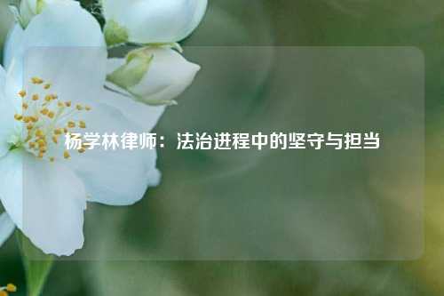 杨学林律师：法治进程中的坚守与担当