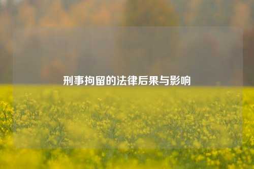 刑事拘留的法律后果与影响