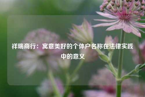 祥瑞商行：寓意美好的个体户名称在法律实践中的意义