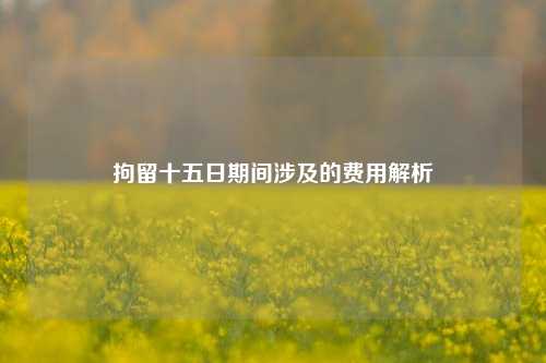 拘留十五日期间涉及的费用解析